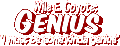 Wile E. Coyote: Genius, I must be some kinda genius
